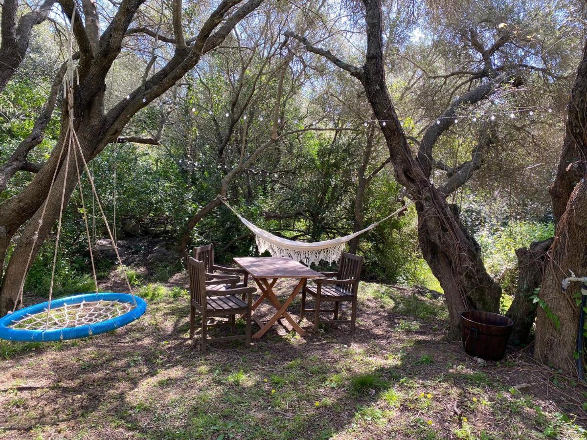 Agriturismo Lu Branu Арцахена Екстериор снимка