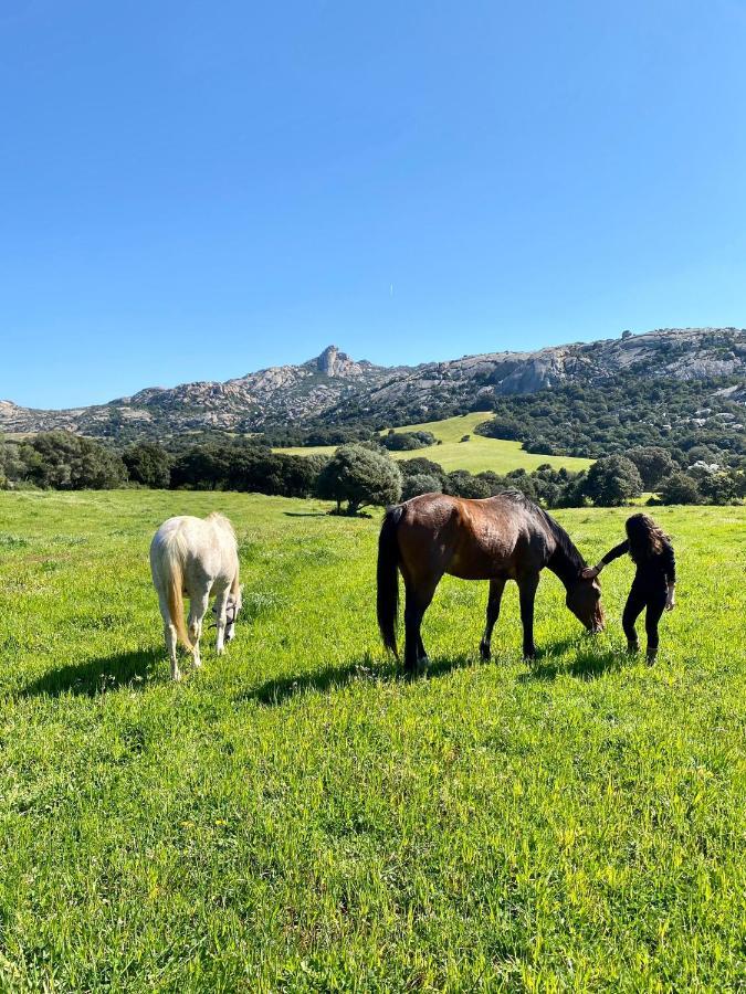 Agriturismo Lu Branu Арцахена Екстериор снимка